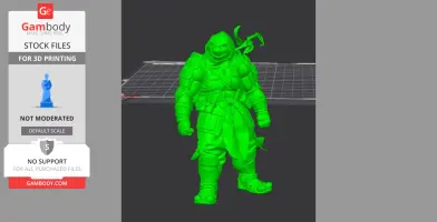 Teenage Mutant Ninja Turtles: The Last Ronin 3D Model