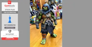 Teenage Mutant Ninja Turtles: The Last Ronin