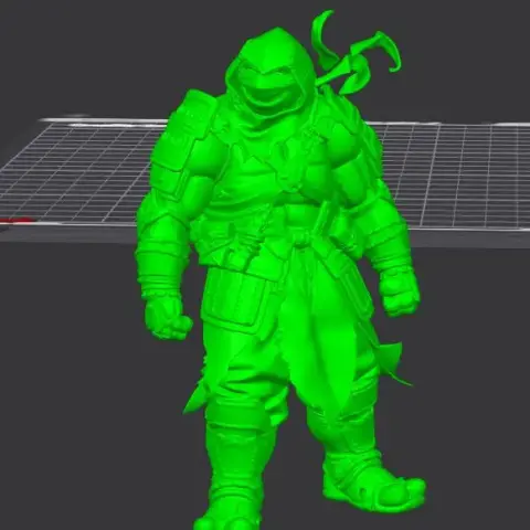 Teenage Mutant Ninja Turtles: The Last Ronin 3D Model