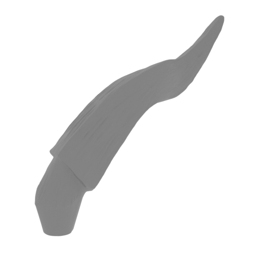 28_horse_horn_R_FDM(repaired).stl