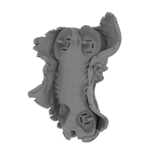 30_horse_body_FDM(repaired).stl