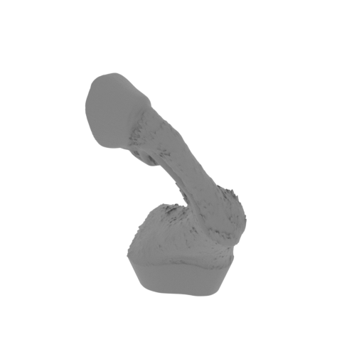 31_horse_leg_R_front_FDM(repaired).stl