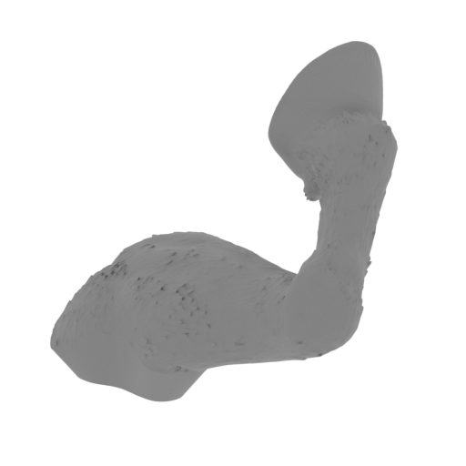 32_horse_leg_L_front_FDM(repaired).stl