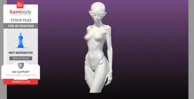 Ali 3D Model