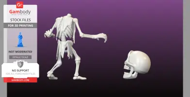 Headless Skeleton
