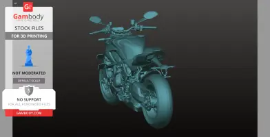 Ducati Streetfighter