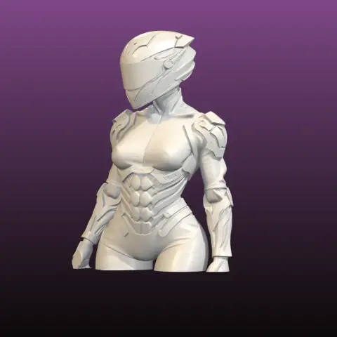 Biker Suit Bust