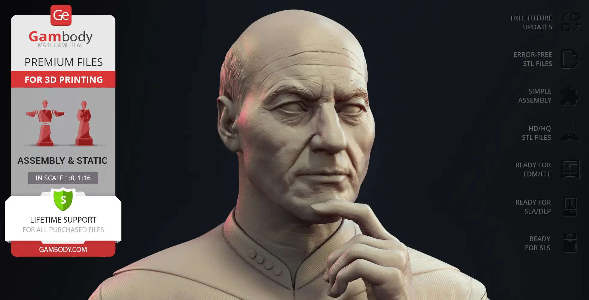 Jean-Luc Picard - Star Trek TNG 3D Models | Gambody