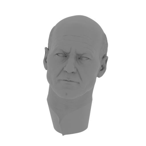 1_head_FDM(repaired).stl