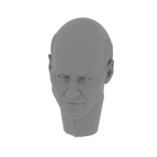 1_head_FDM(repaired).stl