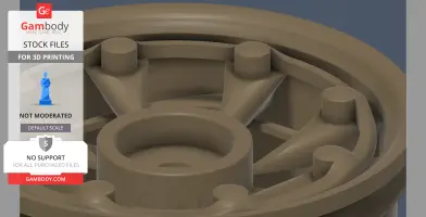 The Muscle 1/10th scale rim