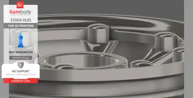 The Muscle 1/10th scale rim