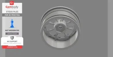 The Muscle 1/10th scale rim