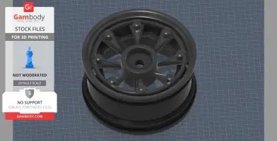 The Muscle 1/10th scale rim