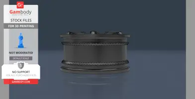 6gun 1/10th rc rim