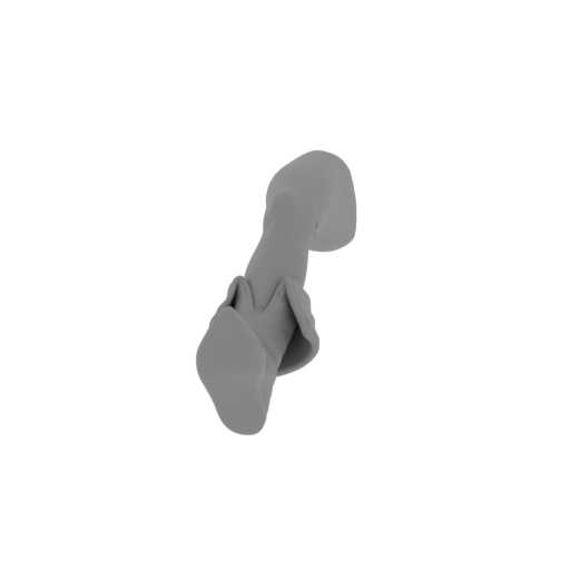 Robin the crow 1-lef right.stl