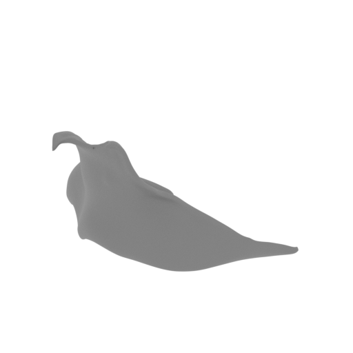 Robin the crow 1-capa.stl