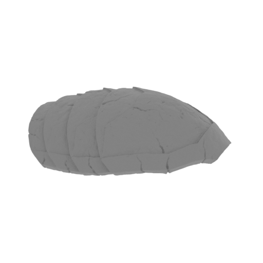 15_Predator_scapular_R_FDM(repaired).stl