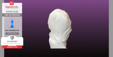 Statue Bust