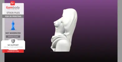 Statue Bust