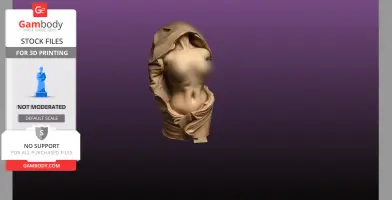 Statue Bust