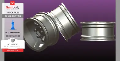 Reinforced 1 10 scale rc rim