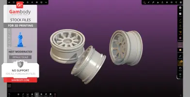 Reinforced 1 10 scale rc rim