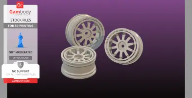 Reinforced 1 10 scale rc rim