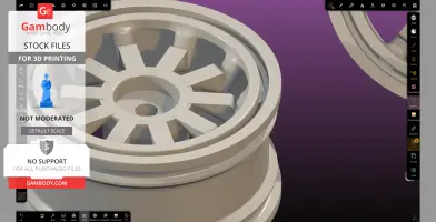 Reinforced 1 10 scale rc rim