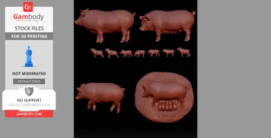 Farm Pigs with Piglets