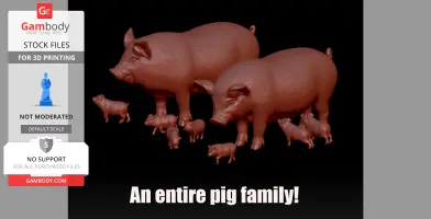 Farm Pigs with Piglets