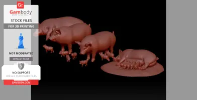 Farm Pigs with Piglets