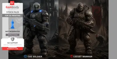 GEARS OF WAR Netflix CCE fortnite.com/@cchrtb