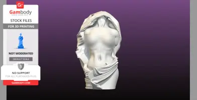 Statue Bust