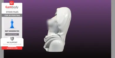 Statue Bust