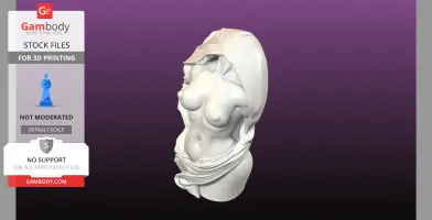 Statue Bust