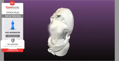 Statue Bust