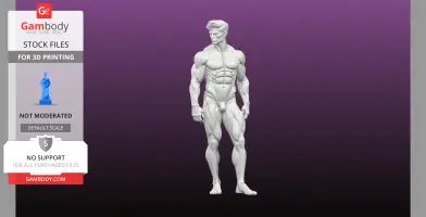 Male statue