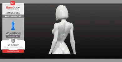 Lin Bust