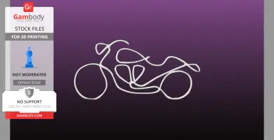 Single Line Vtwin display bike
