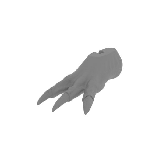9_Howl_foot_L_FDM(repaired).stl