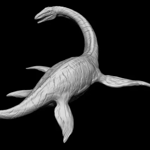 plesiosaurus
