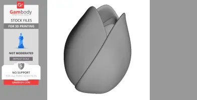 the tulip