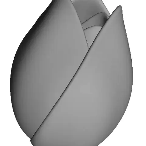 the tulip 3D Model