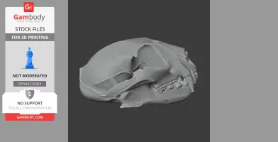 African Golden Cat Skull