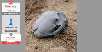 African Golden Cat Skull