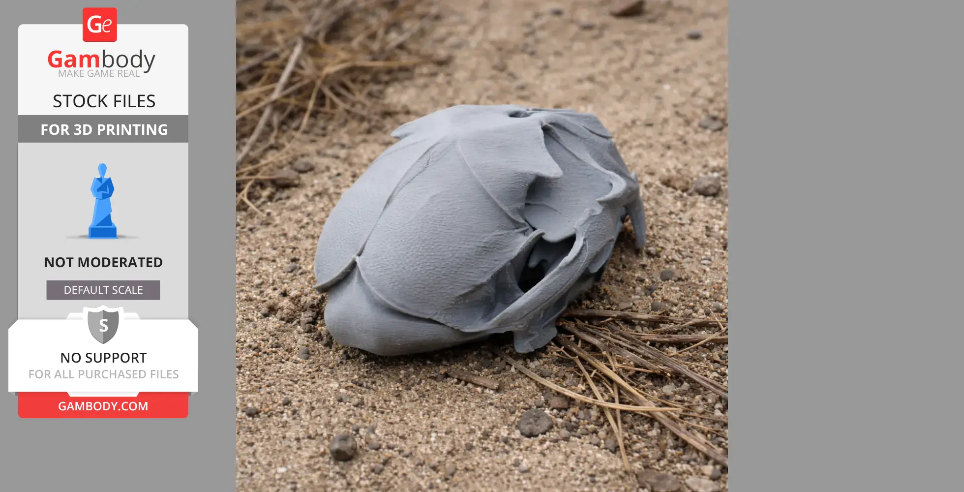 A 3D-printed African golden cat skull model on sandy ground with pine needles.