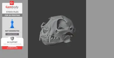 African Golden Cat Skull