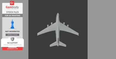 Antonov An-124 Plane