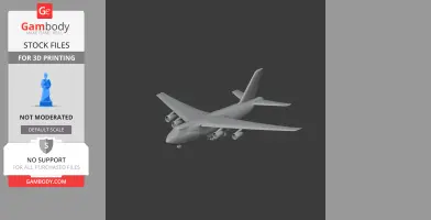 Antonov An-124 Plane